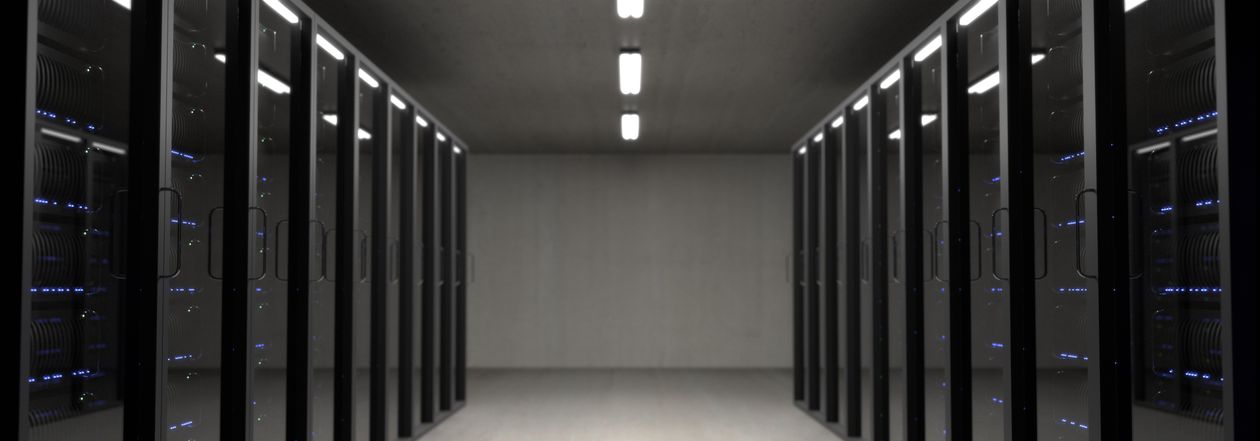 Close-up of network cables connected to server hardware in a technology environment.