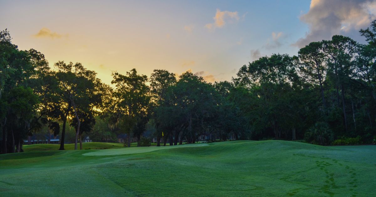 Lush green golf course fairways lined with mature trees on a sunny day