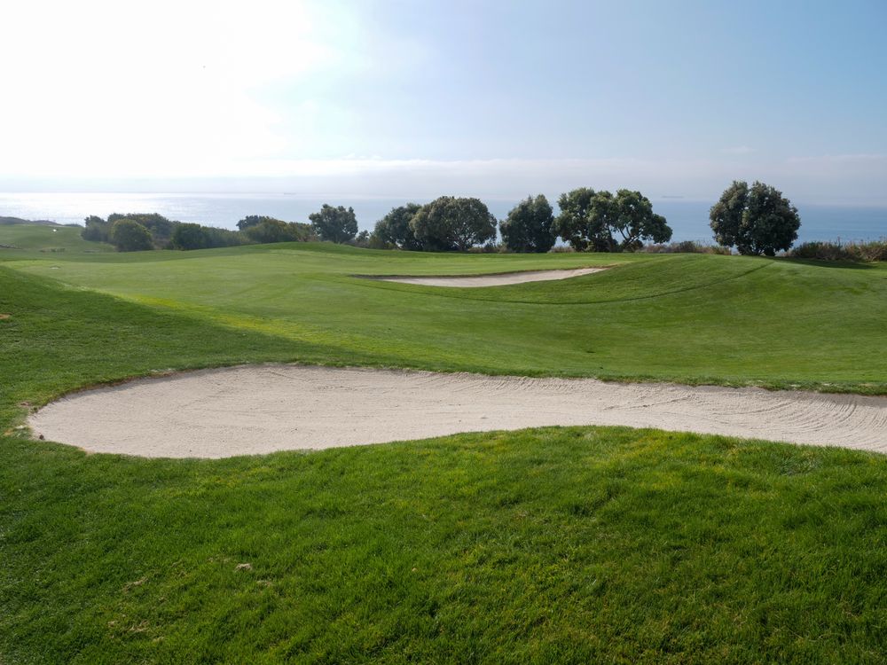 Manicured championship golf course fairway under a clear sky