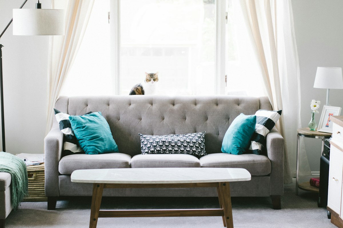 Contemporary grey sectional sofa with cushions in a bright living space