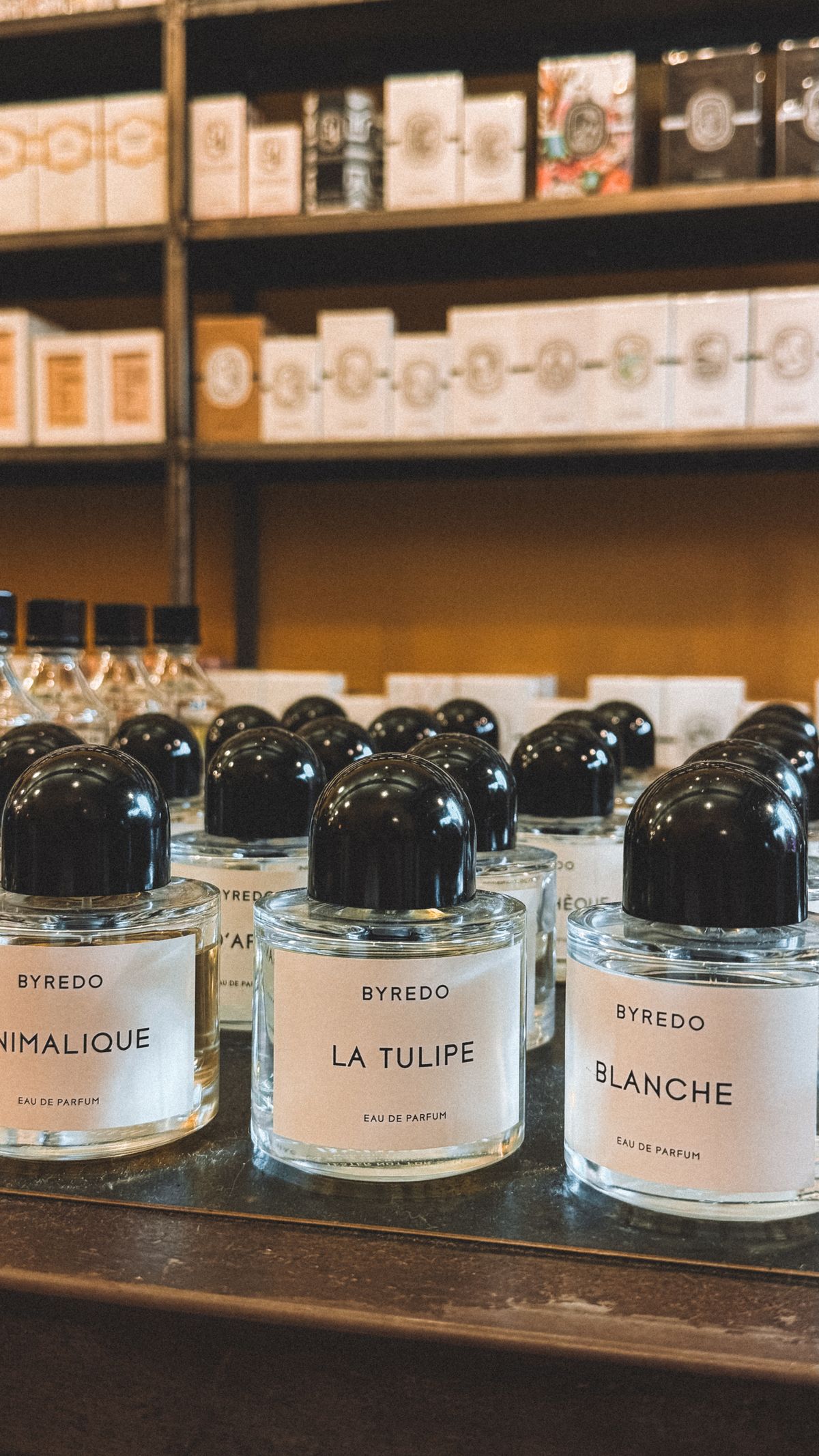 Flacons de parfum de luxe exposés dans une boutique élégante