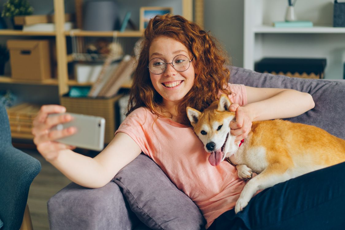 Frau macht ein Selfie mit ihrem Shiba-Inu-Hund auf dem Sofa und erstellt Content fürs Handy