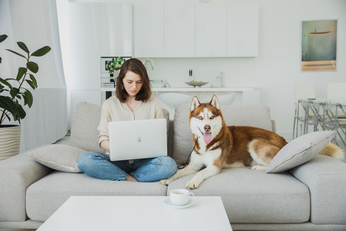 Frau sitzt mit großem Hund auf dem Sofa und arbeitet am Laptop