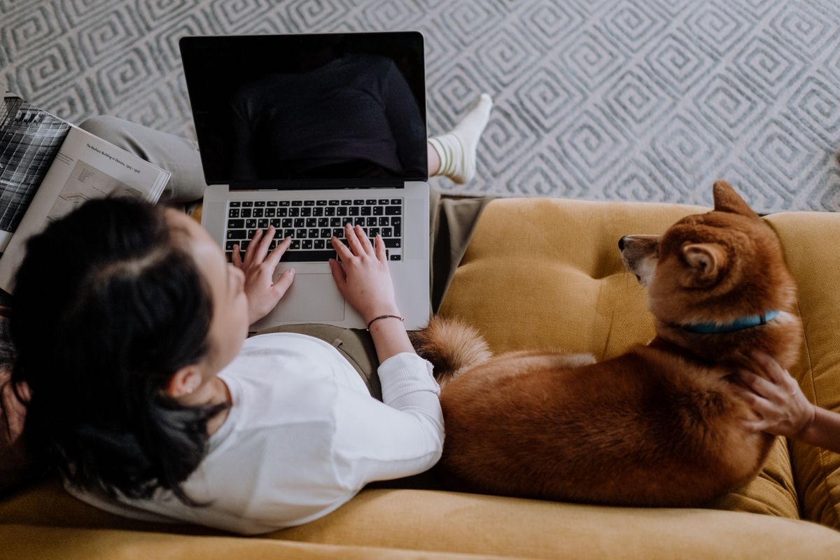 Hundetrainerin arbeitet mit Laptop auf dem Sofa, ein Hund liegt neben ihr