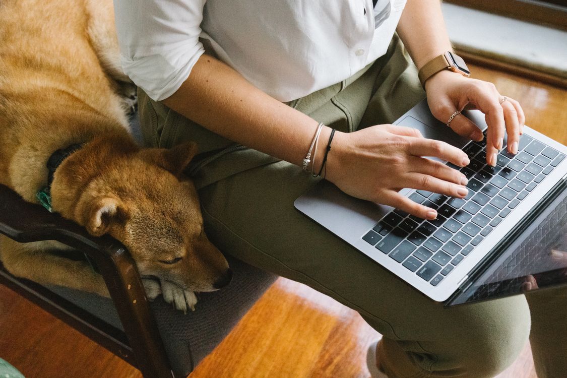 Dog trainer working on a laptop with her dog relaxing beside her