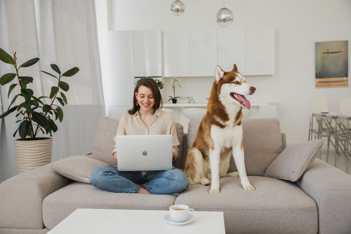 Woman smiling as she types on a laptop, with her husky lying beside her