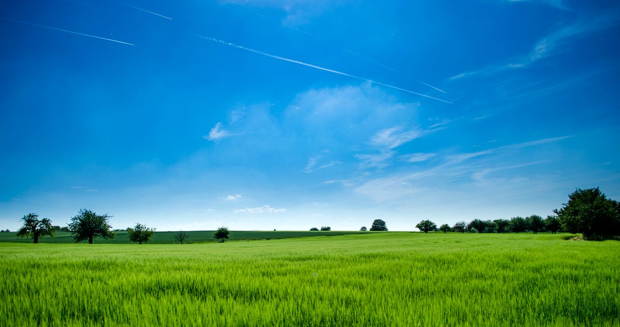 Vista aérea de propriedade rural com campos cultivados e estrada de terra