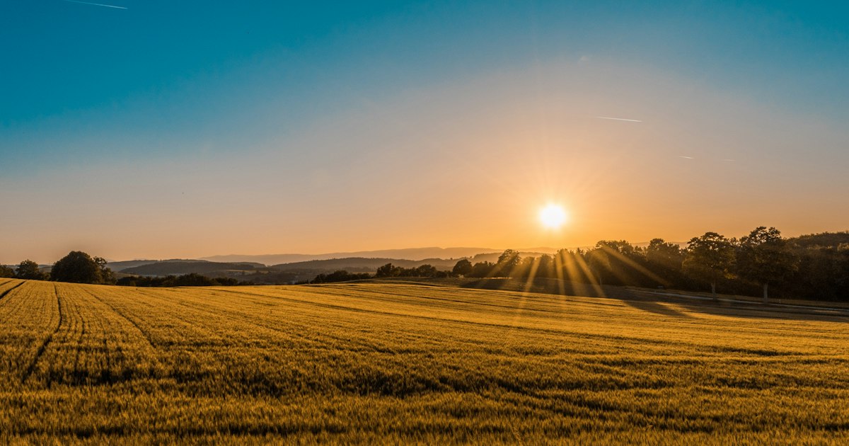 Vista aérea de área rural com campos de cultivo até o horizonte