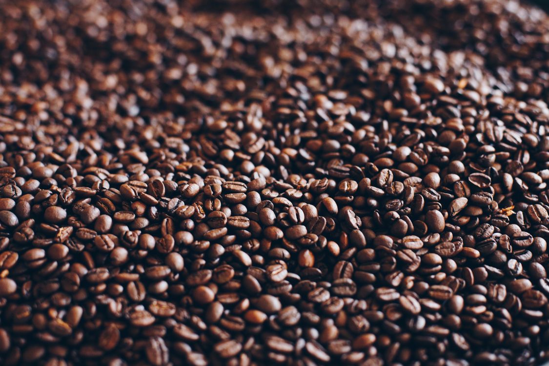 Close-up of roasted specialty coffee beans showing rich color and texture