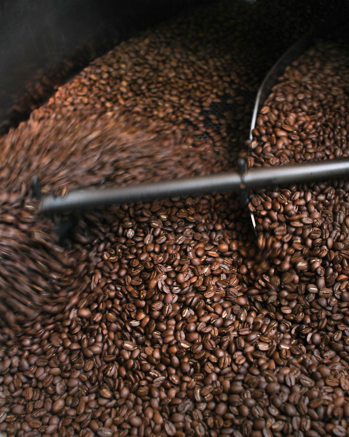 Macro close-up of roasted coffee beans showing texture and surface oils