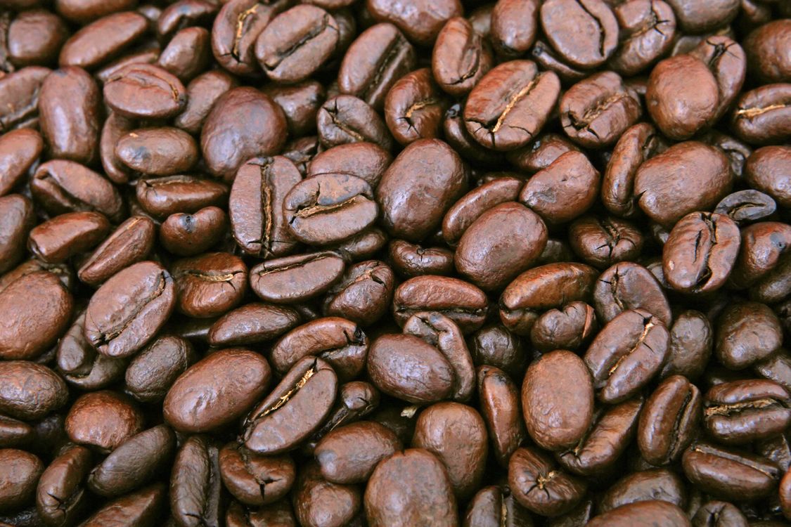 Close-up of glossy roasted coffee beans showing rich brown color and oily texture