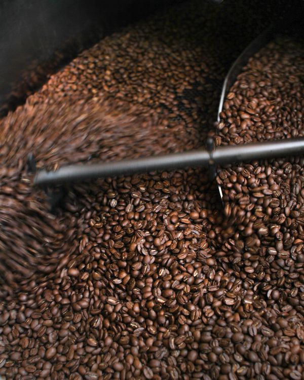 Coffee beans being roasted, showing the specialty coffee production process