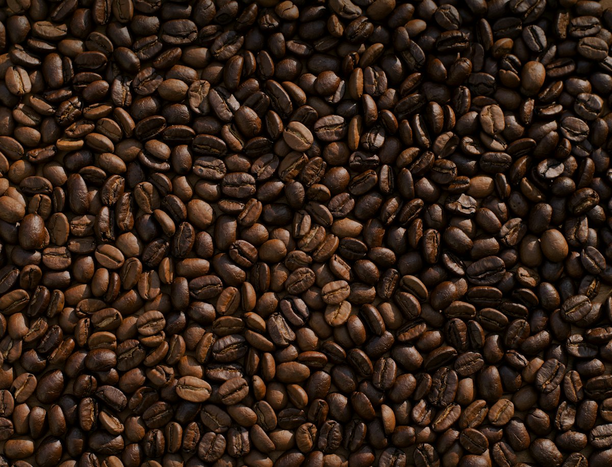 Freshly roasted coffee beans in warm light showing rich brown color