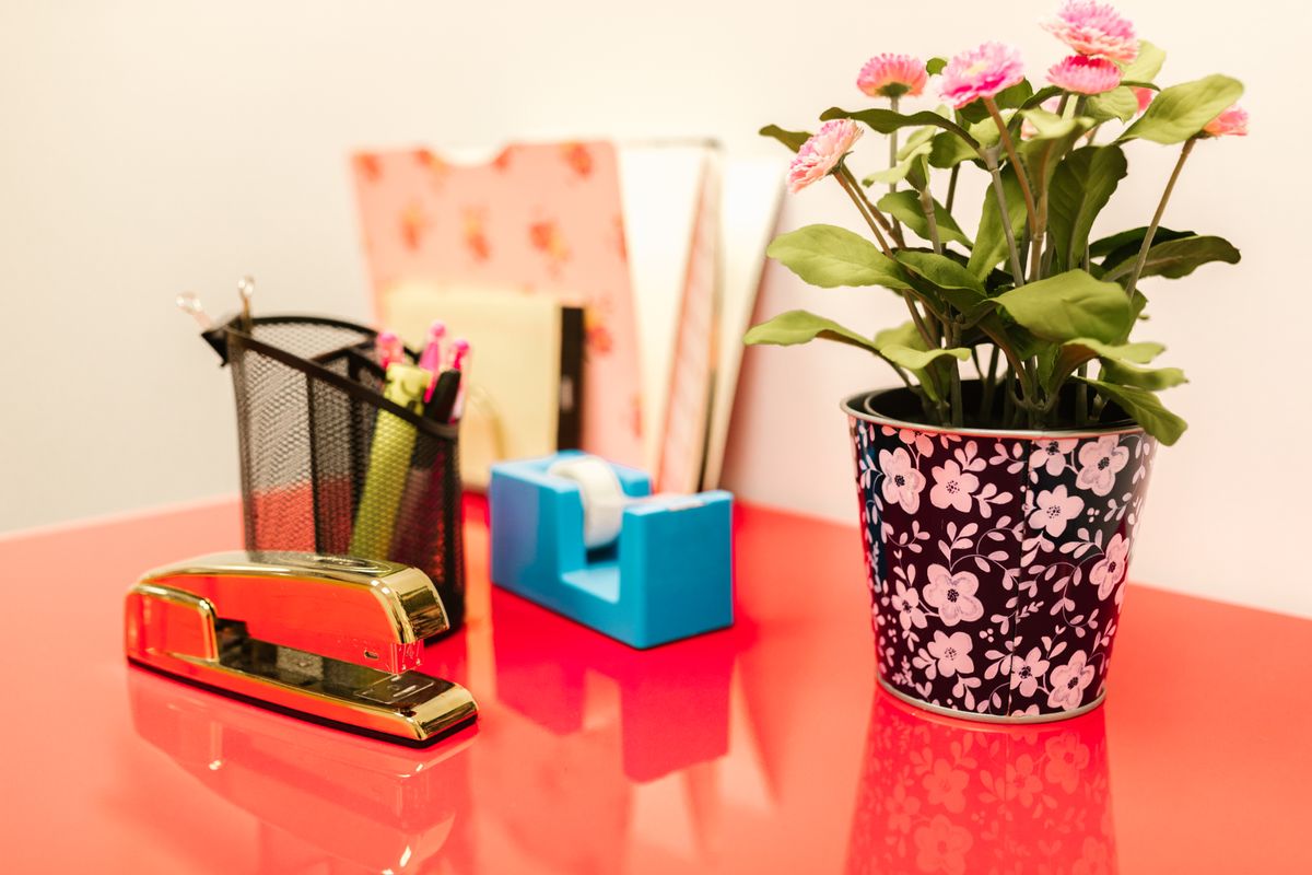 Organised desk setup with stationery, stapler and a potted plant