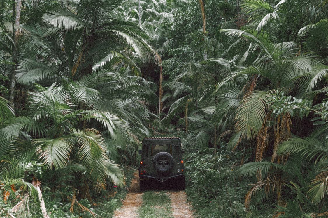 A rugged SUV on a jungle road, illustrating 4x4 driving conditions in Costa Rica