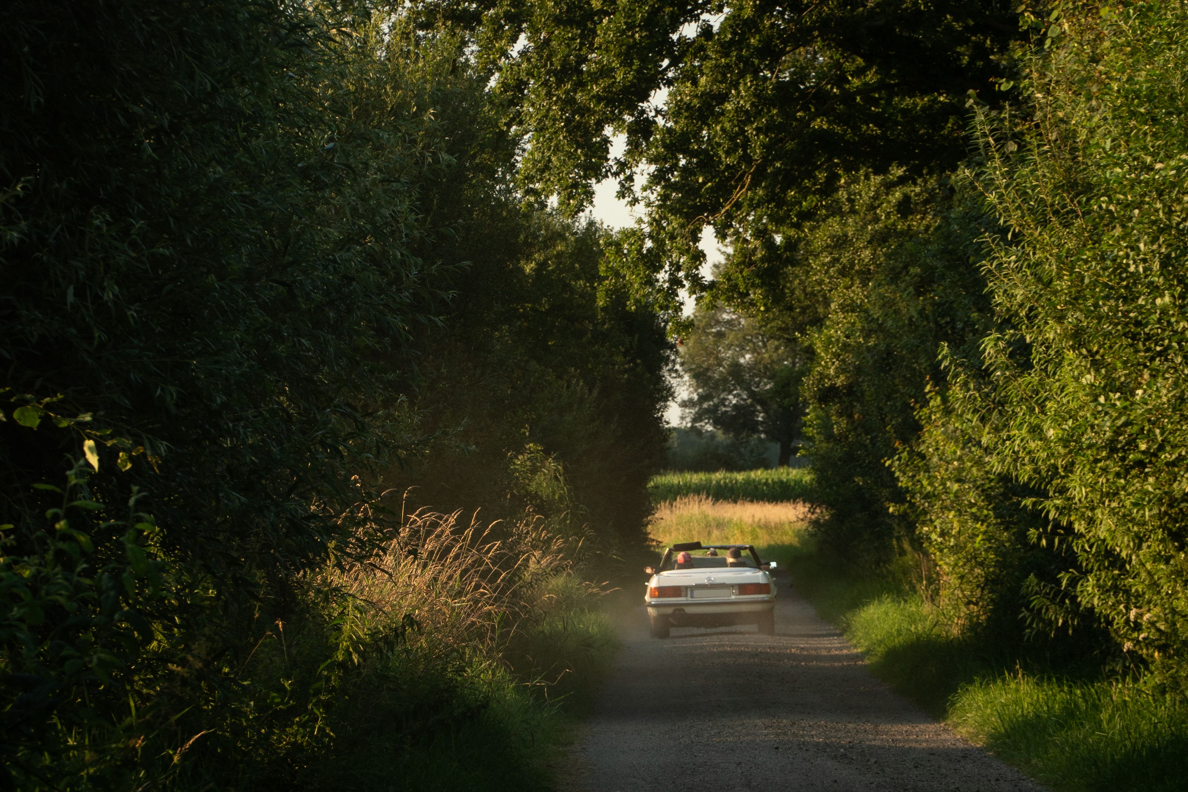 A car drives along a scenic country road surrounded by lush green vegetation
