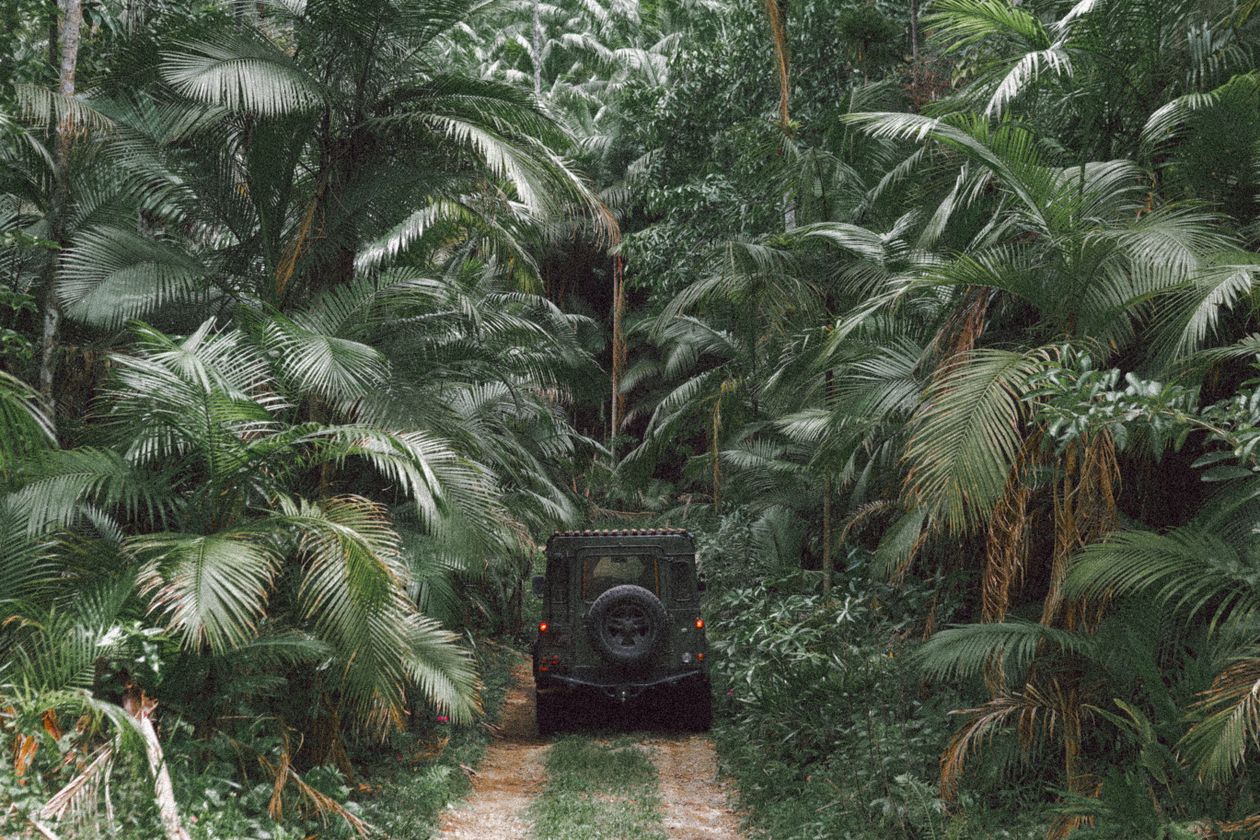 Jeep driving through dense tropical jungle on a dirt road surrounded by lush vegetation in Costa Rica