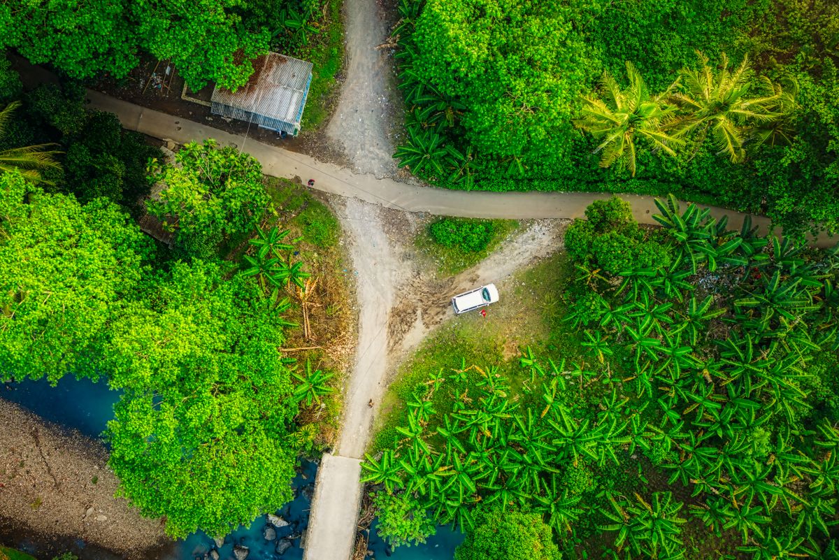 A rental SUV parked on a sunny tropical road lined with palms