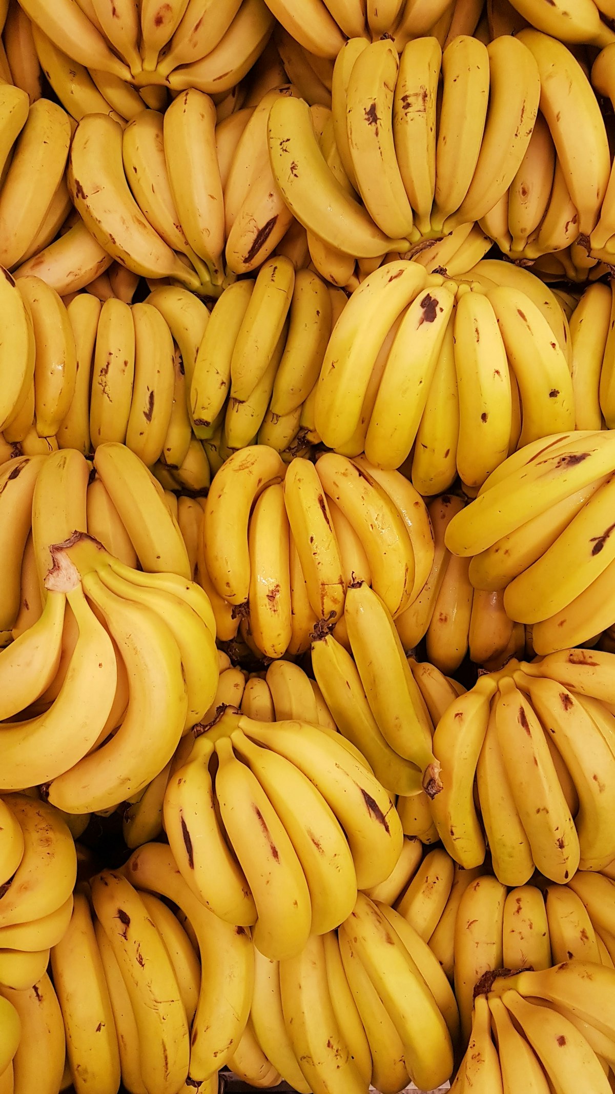 Plátanos maduros frescos, base de la masa de las mandocas zulianas