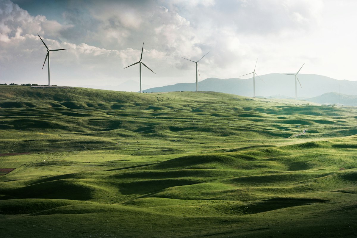 Turbine eoliene pe un camp sub cerul albastru, context pentru industria energiei regenerabile