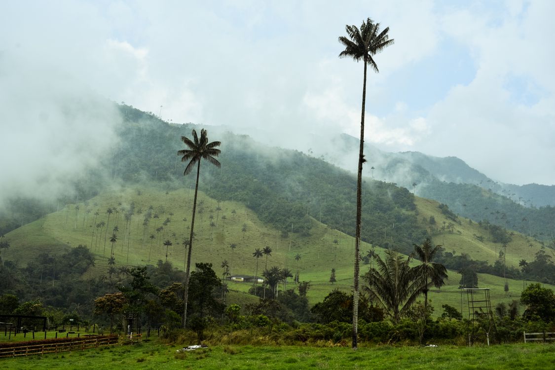 Paisaje montañoso de los Andes colombianos con vegetación verde