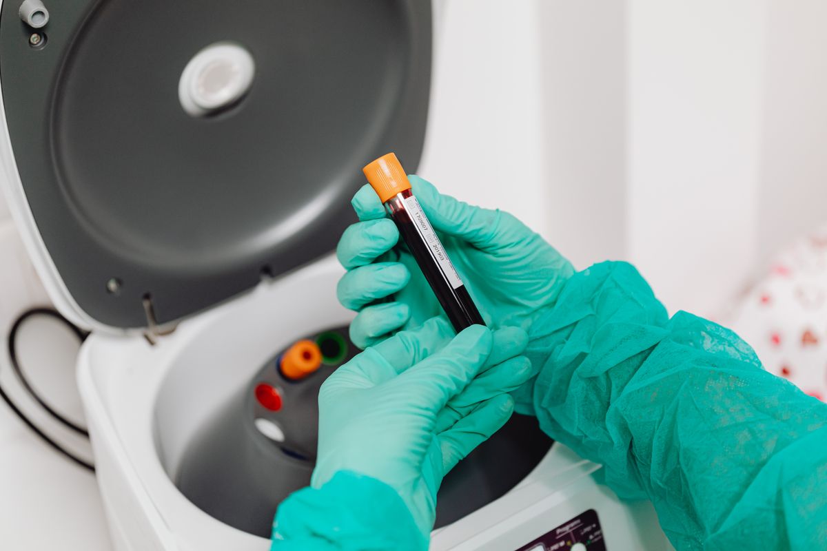 Tubos de sangue sendo colocados em uma centrífuga de laboratório