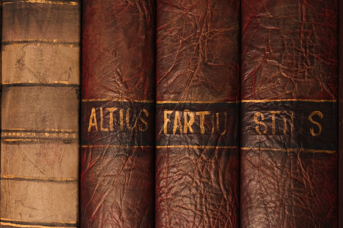 Lomos de libros antiguos con encuadernación de cuero alineados en un estante de biblioteca