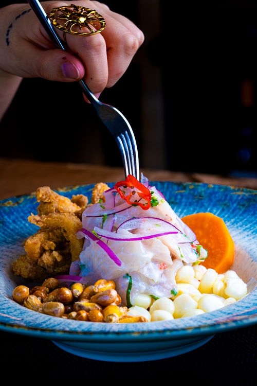A plated gourmet Peruvian dish